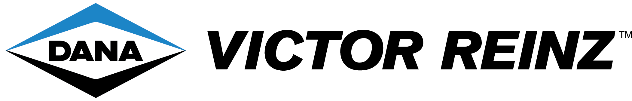 Dana Victor Reinz logo